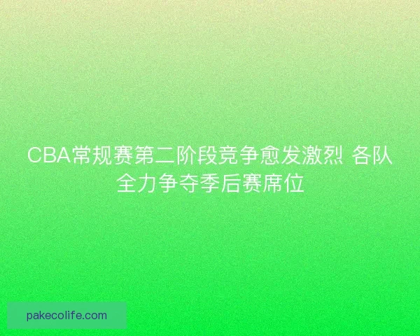 CBA常规赛第二阶段竞争愈发激烈 各队全力争夺季后赛席位