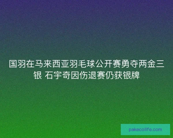 国羽在马来西亚羽毛球公开赛勇夺两金三银 石宇奇因伤退赛仍获银牌